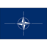 NATO - North Atlantic Treaty Organization Flag - Nylon